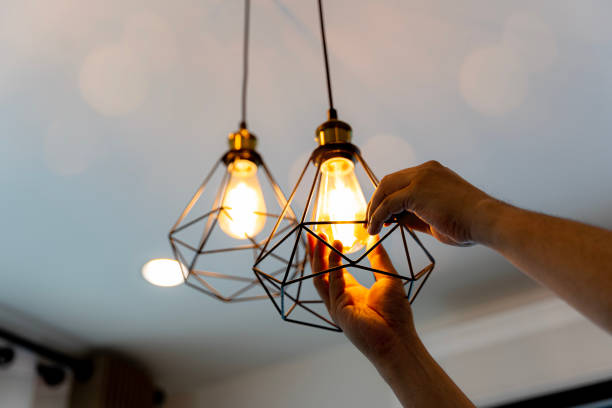 Best Electrical Contractors for Businesses  in Lake Holm, WA